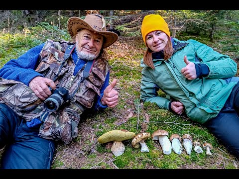 Видео: Карпати осінні. Яремче - Ворохта. 1+1=4. Частина друга