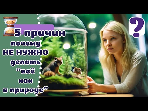 Видео: Надо ли держать дикарей "КАК В ПРИРОДЕ"? Что мы знаем про всяческую экзотику?