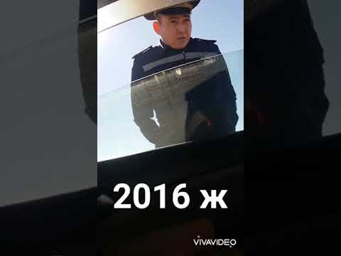 Видео: кызылорда гаи АСКО