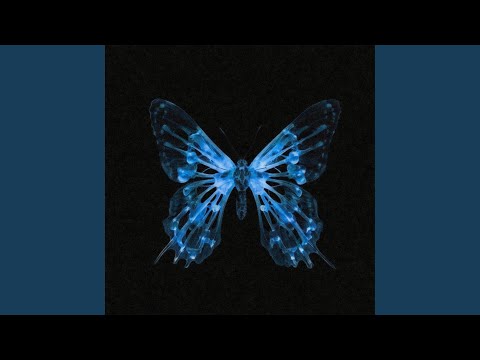 Видео: Нет чувств