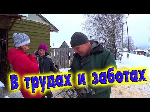 Видео: ПИЛИМ ДРОВА / УБОРКА В ПТИЧНИКЕ / ДЛЯ ЧЕГО ПРИВЕЗ ФАНЕРУ? / ДЕНЬ В ДЕРЕВНЕ