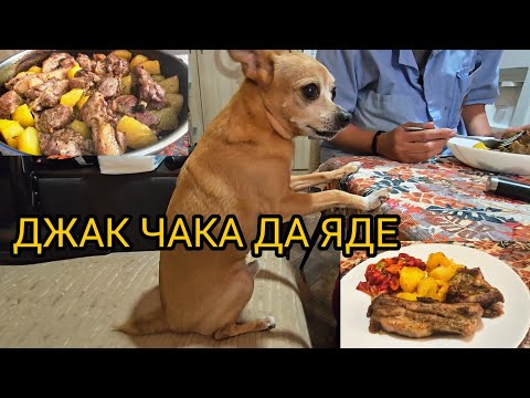 Видео: ОБЯД РЕБРА 🤪