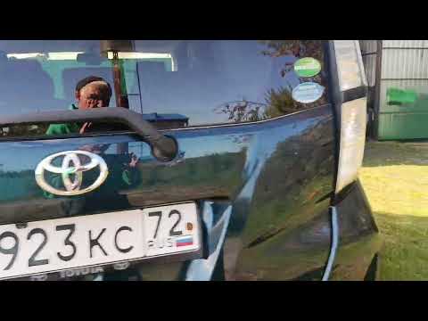 Видео: Субботний день. 