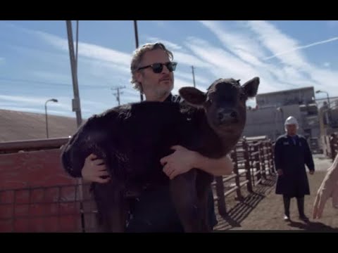 Видео: Хоакин Феникс спас мать и дитя с бойни