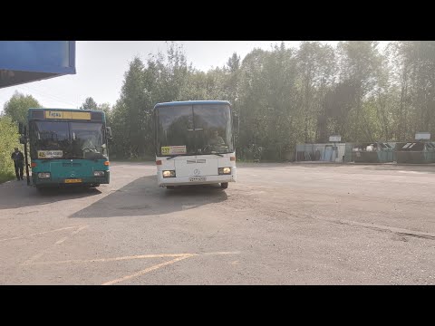 Видео: Перм. Край | Маршрут 237 | Кооп. Алешиха - Ст. Молодежная | Mercedes-Benz O408 | 28.08.2024