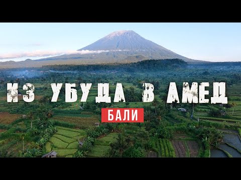 Видео: На байке из джунглей к океану: едем из Убуда в Амед / Достопримечательности Бали 2025