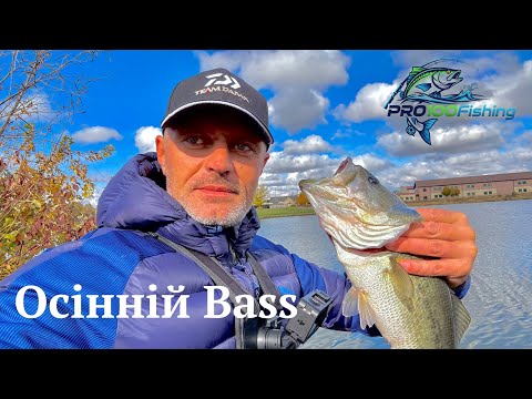 Видео: 🎣 Осіння риболовля на хижака | Ультралайт спінінг | Bass Fishing Fall Vibes 🍂