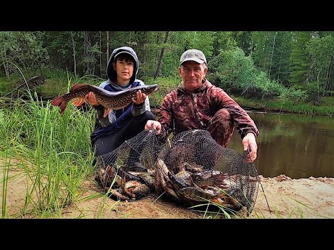 Видео: НЕОЖИДАННО УДАЧНЫЙ ДЕНЬ НА РЫБАЛКЕ С СЫНОМ, КОНЦОВКА ТОЖЕ ПОРАДОВАЛА, РАБОТЫ ВЫШЕ КРЫШИ)))!
