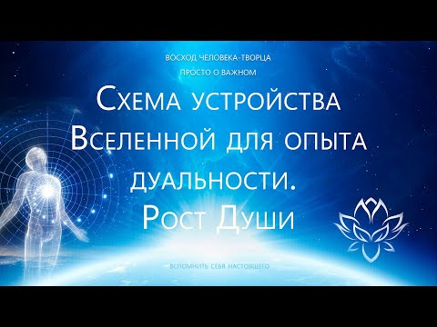 Видео: Схема устройства Вселенной для опыта дуальности. Рост Души