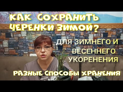 Видео: Как сохранить черенки зимой? Разные способы хранения черенков.