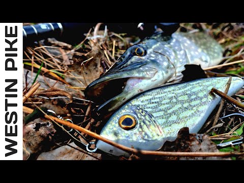 Видео: Без Човна Діла не Буде! Трудова Осіння Риболовля в Листопаді.