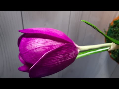 Видео: Крокус из фоамирана/crocus from foamiran