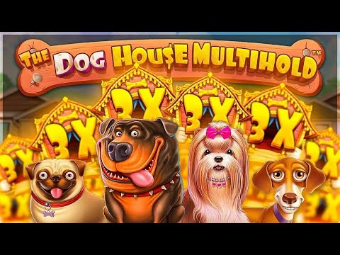 Видео: КУПИЛ КУЧУ ДОРОГИХ БОНУСОВ ЗА 100К+ В THE DOG HOUSE MULTIHOLD! ПОЙМАЛ БОНУС ЗА 280.000Р!