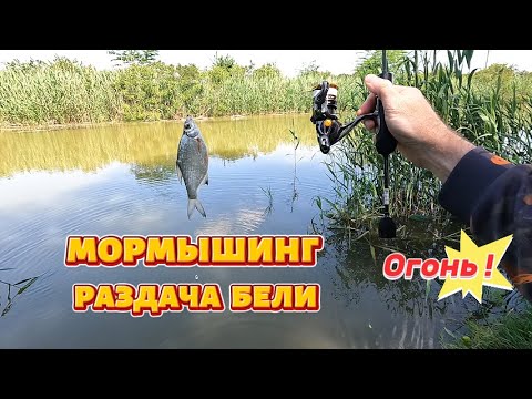 Видео: Мормышинг. Раздача бели.