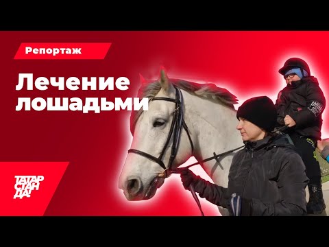 Видео: Лечение лошадьми: что такое иппотерапия и как животные помогают детям с особенностями развития