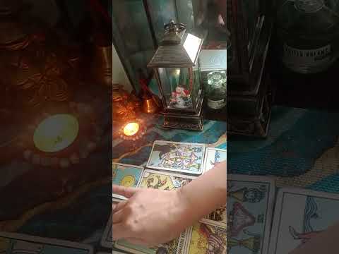 Видео: Ваш мужчина и соперница....а вот такого я не ожидала😳😳😳😳