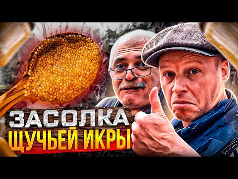 Видео: ЩУЧЬЯ ИКРА!! Рецепт от подписчика!! Теперь готовлю только так