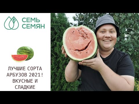 Видео: САМЫЕ УРОЖАЙНЫЕ СОРТА АРБУЗА! СЕЗОН 2021