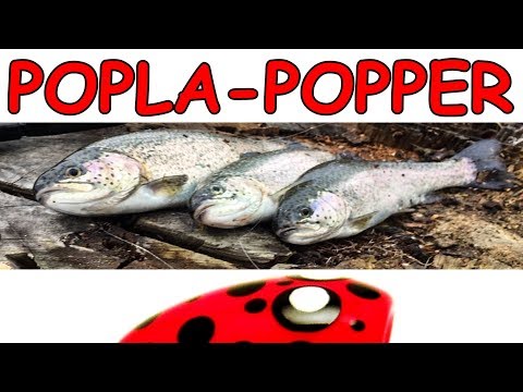 Видео: Ловля форели на ПОПЛА - ПОППЕР