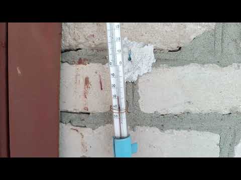 Видео: Первый день зимы! Рефы в стойло!!!🥶🌨️🌨️