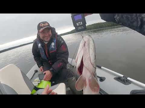 Видео: В поисках судака на Чигиринском водохранилище