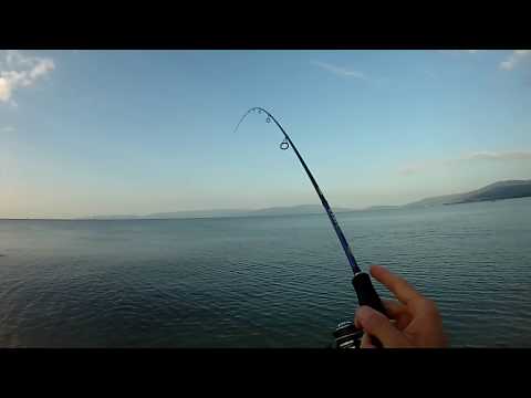 Видео: Риболов на джиг на скумрия и сафрид