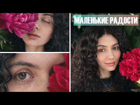 Видео: Купила один саженец гортензии фантом, а получилось два!