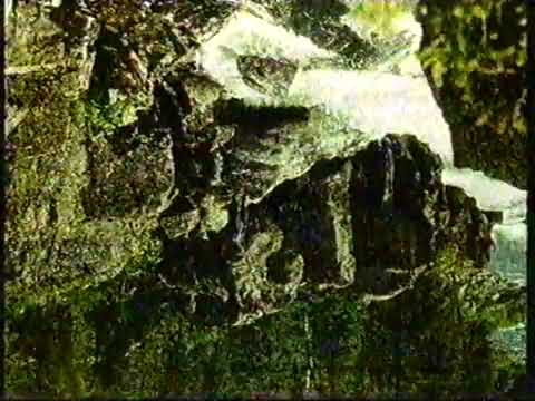 Видео: Фрагмент эфира РТР в городе Барнауле (1994)