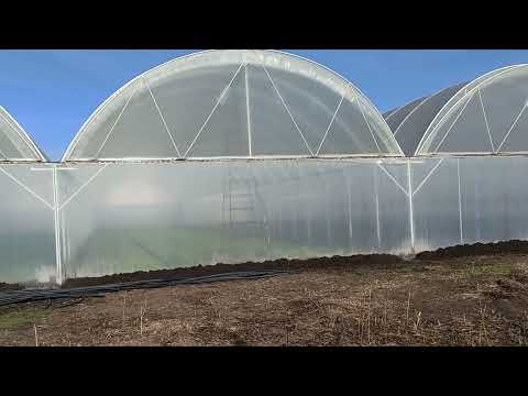 Видео: блочная теплица 50×50 высота 6.5м Энергоэффективная.  С размерами.