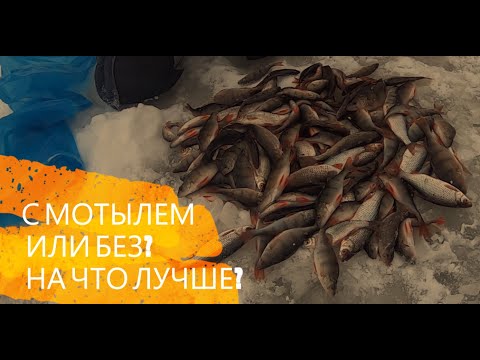 Видео: Истринское водохранилище зимняя рыбалка как ловить рыбу на безмотылку и мормышку с мотылем