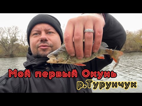 Видео: Мой первый ОКУНЬ.Рыбалка на ХИЩНИКА р. Турунчук 10.11.24. #fishing #рыбалка