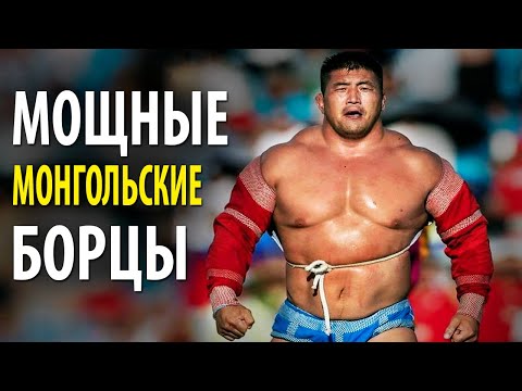 Видео: Вот Как Борются МОЩНЫЕ Монгольские Борцы