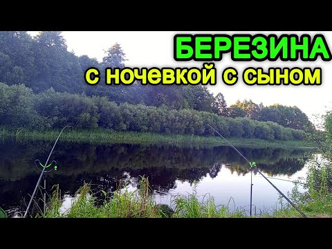 Видео: Рыбалка на Березине. Рыбачим с сыном на фидера в сильный ветер. Рыбалка с ночевкой.