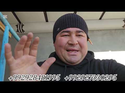 Видео: Маълумот дар бораи боми Тунукафон Точикистон