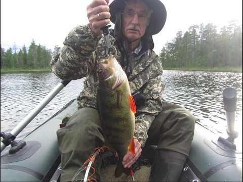 Видео: Великолепная рыбалка на Кольском полуострове 44ч. 2024г. Огромные окуни.
