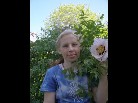 Видео: Многоярусность, видовое разнообразие и другие секреты успеха экосада. Мария Газнюк