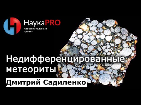 Видео: Недифференцированные метеориты | Метеоритика – Дмитрий Садиленко | Научпоп