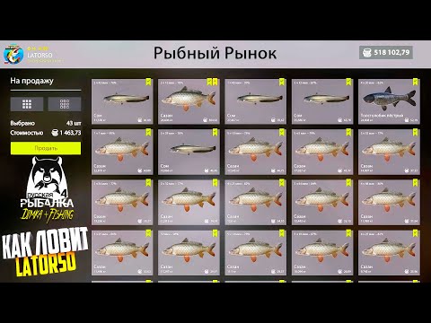 Видео: Русская рыбалка 4.🎣🦈 р. Ахтуба 🐋🐋🐋...💦 КАК ЛОВИТ LATORSO 👀