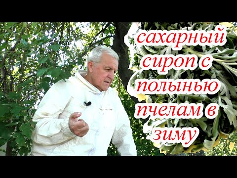 Видео: ПОДКОРМКА ПЧЕЛ сахарным сиропом с полынью. Семья осталась без меда.