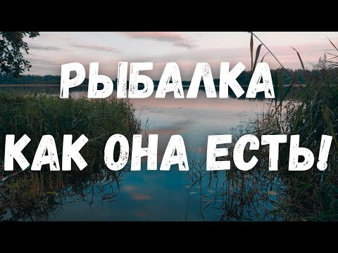 Видео: ЛОВЛЯ ЛИНЯ И КАРАСЯ В ОЗЕРЕ(мы попытались)