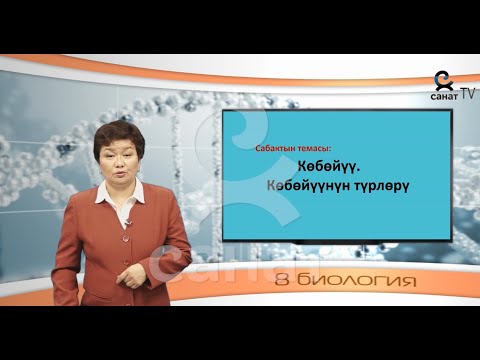 Видео: Биология 8 класс 51 сабак