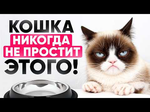 Видео: Сделаешь ЭТО и кошка тебя НЕ простит! Как не потерять доверие?