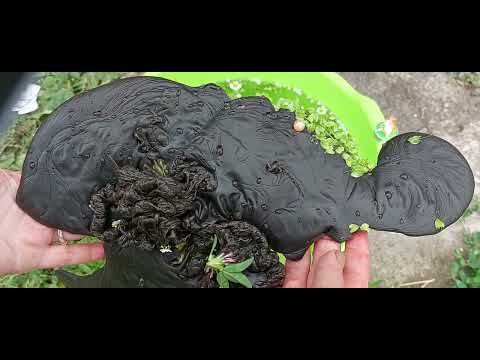 Видео: Чистка денежных и финансовых потоков, блоки на рост, развитие и заработок.