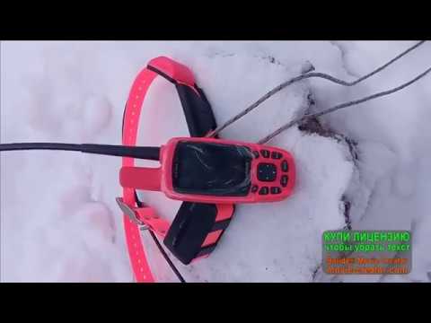 Видео: Гармин астро 430 проверяю на дальность