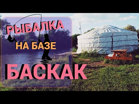 Видео: Платная рыбалка на базе БАСКАК Подмосковье