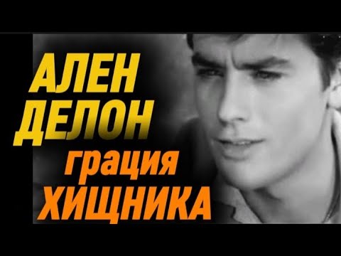 Видео: АЛЕН ДЕЛОН. Грация ХИЩНИКА.