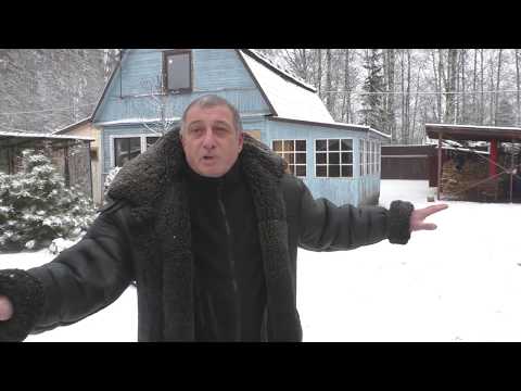 Видео: В гостях у Рафика Рустамова. Голуби Питера.