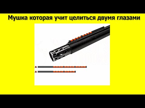 Видео: Мушка которая учит целиться двумя глазами или как стрелять двумя глазами