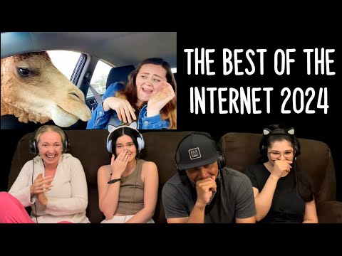 Видео: ЕЖЕДНЕВНАЯ ДОЗА ИНТЕРНЕТА — ЛУЧШЕЕ ИЗ ИНТЕРНЕТА 2024 ГОДА | Реакция!