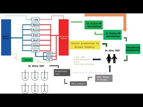 Видео: 9.2. Биовейверы: биофармацевтическая классификационная система и IVIVC